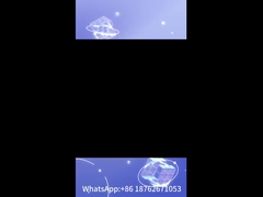 placa traseira turbo